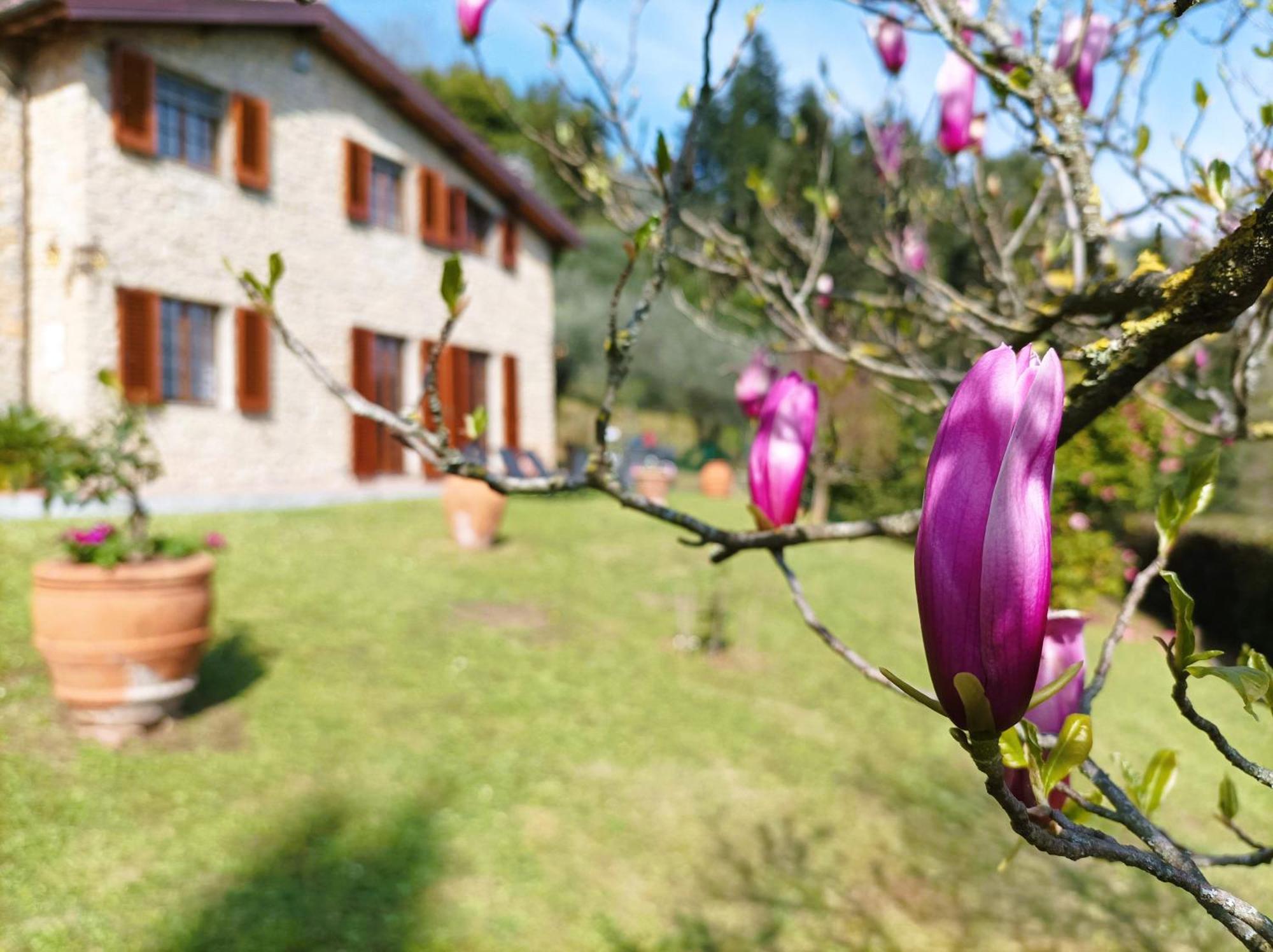 Villa Camelia Tuscany Pescia Exterior photo